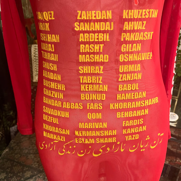 Daughters of Fire Tour Sheer Dress