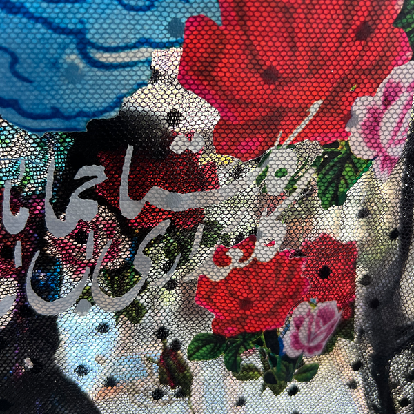 Roses and Hafez Black dot mesh  top