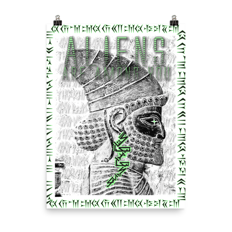 Illegal Aliens Poster